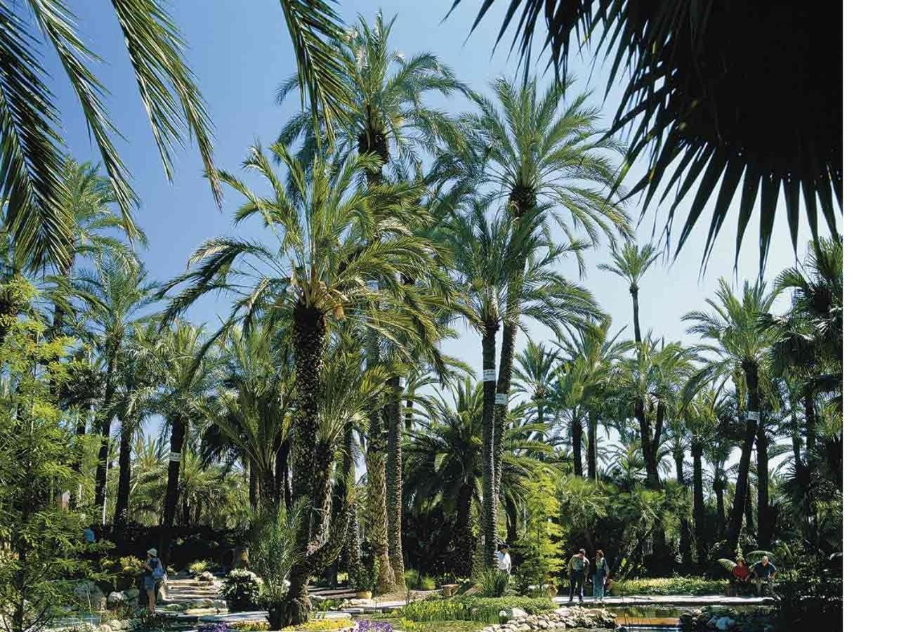 Luxury New Apartment City Centre & Beach, Alicante Exteriör bild